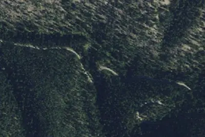 Blacktail Rd 4171 003