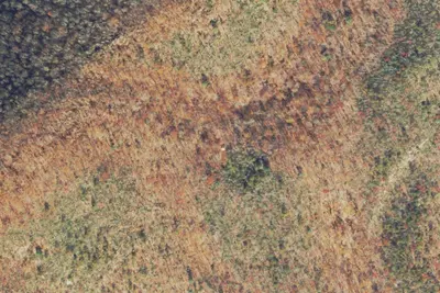 Sarver Hollow A.T. Shelter