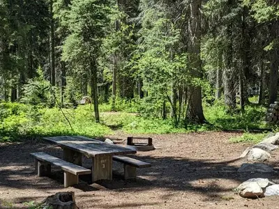 Lake Fork Campground Site 3 - with picnic table, and fire pit. Pine forest setting.