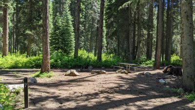 Lake Fork Campground