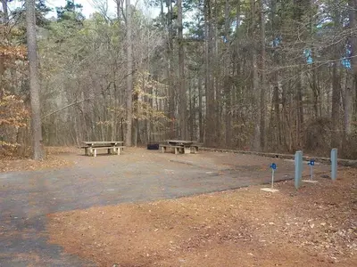 Loop C - Double Site