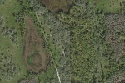 Gator Hole Primative Camp Site