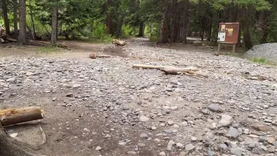Fourmile Dispersed (52261369780)