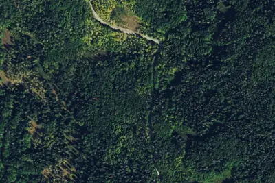 Camp site
