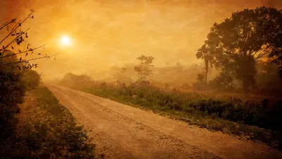 Sun-scorched road (Unsplash)