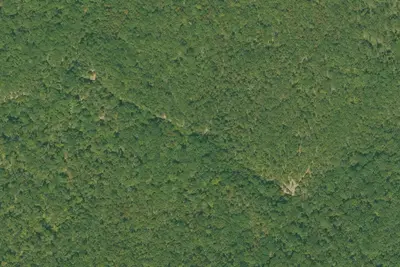 Camp site