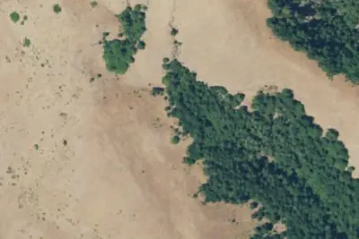Camp site