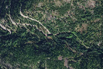 Richmond Ridge 14
