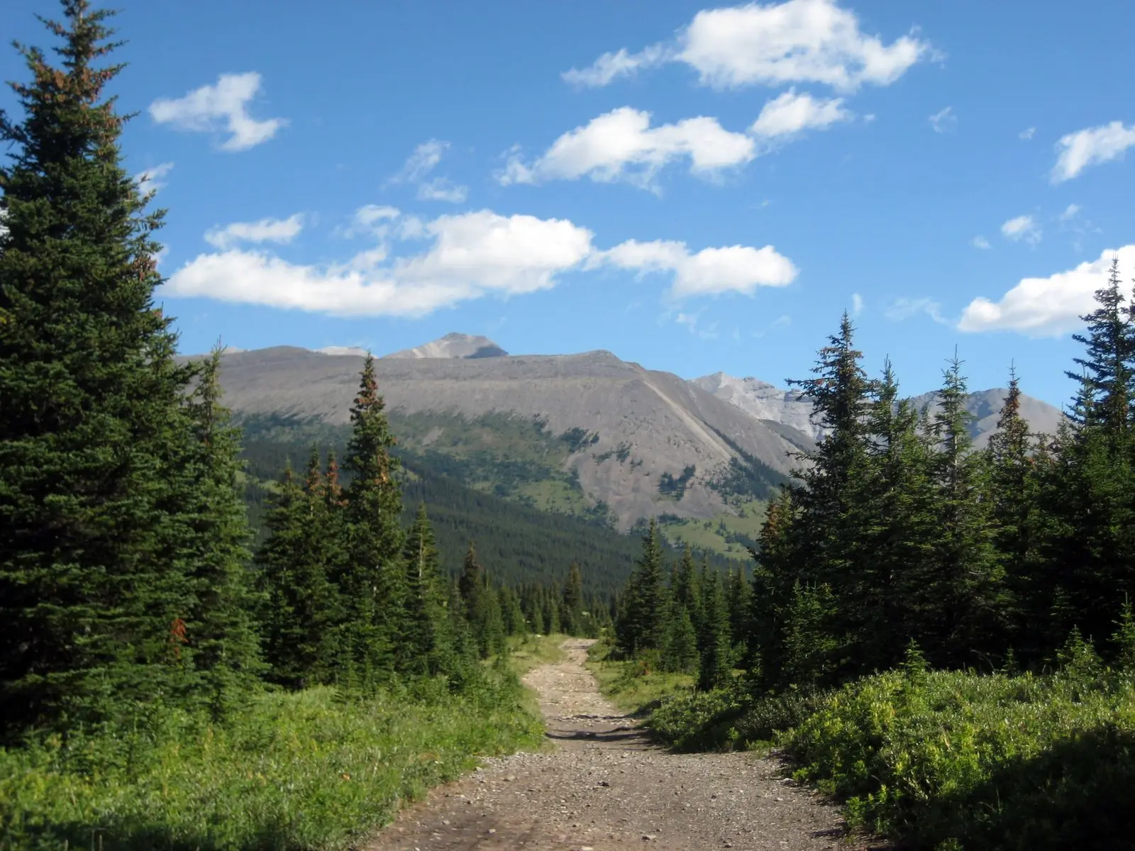 Photo of Elbow-Sheep Wildland Provincial Park