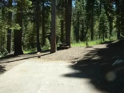 Fir Top Campground