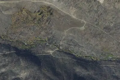 Fr132-51