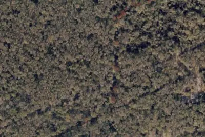 Hunt Camp 19a