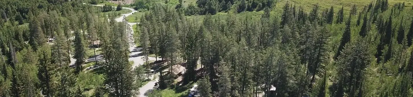 Lodgepole at Heber