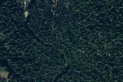 Camp site