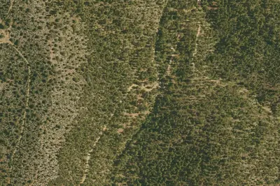 Site 4