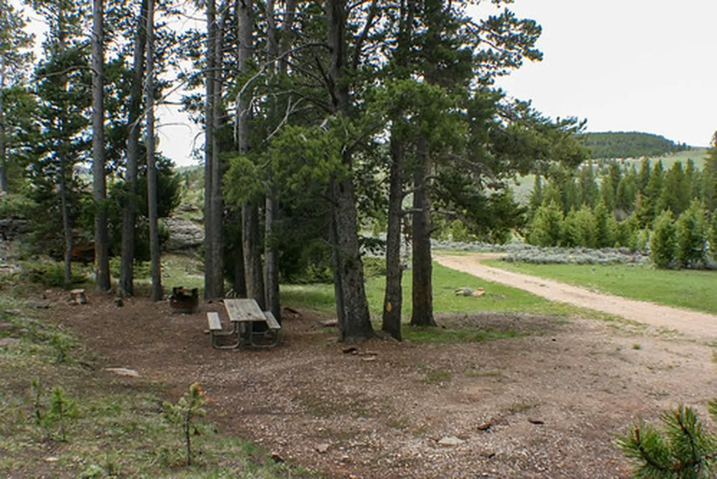 Grave Springs campsite