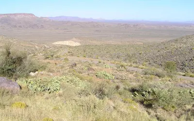 View over Mojave National Preserve from near Mitchel Caverns - panoramio