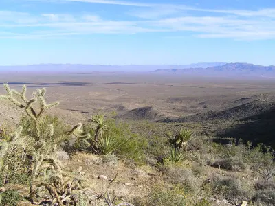 Mojave National Preserve - panoramio (4)