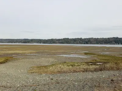 Belfair State Park WA