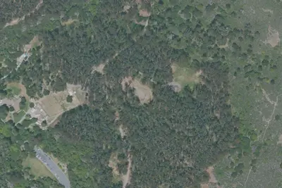 New Woodland Group Camp