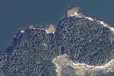 Camp site (Maine Coast Heritage Trust)