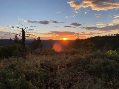 Bluestem Sunrise 2022