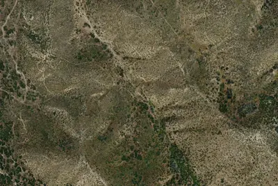 Camp site