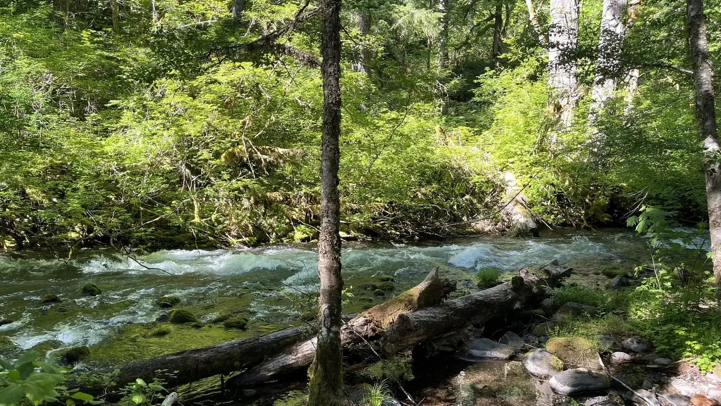 Roaring river