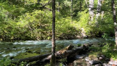 Roaring River (group)