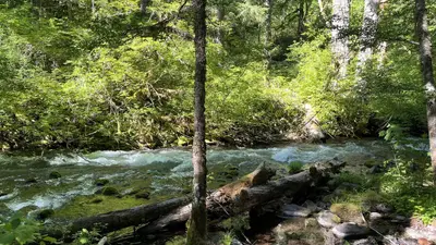 Roaring River (Group)
