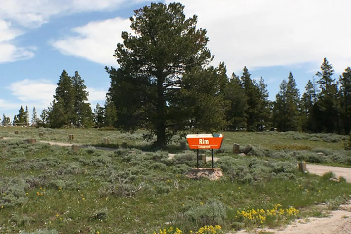 Rim Campground sign
