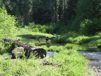 Jim Creek Group Camp
