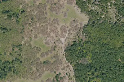 Camp site