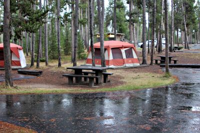 Madison Campground
