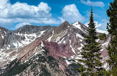 Colorado Rockies (34246027256)