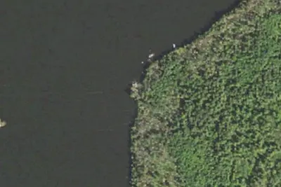 Lake Vermilion Site 19