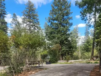 Host site at Silver CG