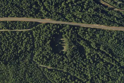Briggs Forest Camp