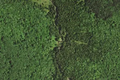Camp site