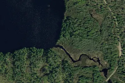 Camp site