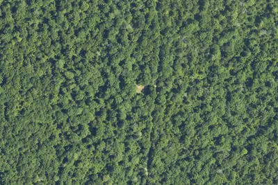 Delta Hunt Camps