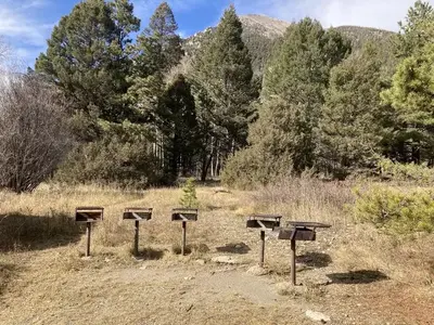 Group of cooking grills with trees and mountain in background