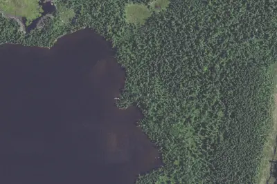 Devilfish Lake Site 1