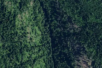 Rd 438 Site 3d