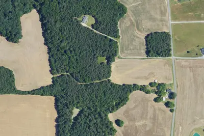 Williams Farm