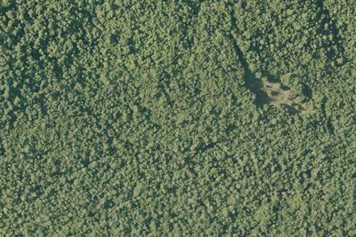 Camp site