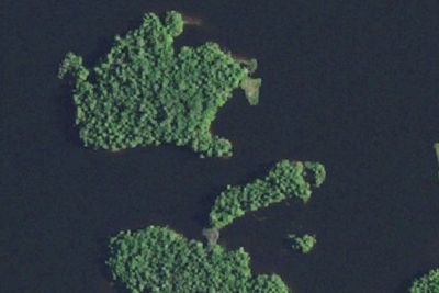 Turkey Vulture Island