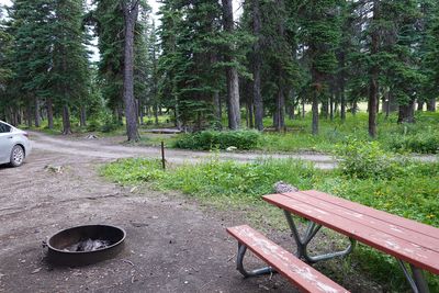 Cut bank campground 03