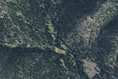 Off Basin Creek Rd -4