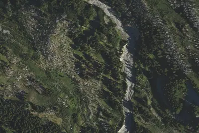 Camp site